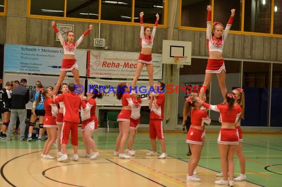 Volleyball Damen 3. Liga Süd SV Sinsheim gegen TV Villingen 23.10.2016 (© Siegfried)